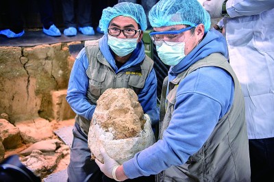 意昂平台登录：距今百万年的“郧县人”三号头骨化石顺利提取